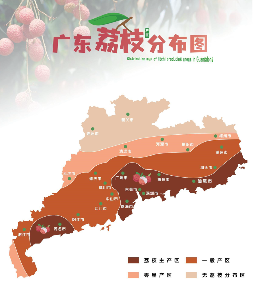 广东荔枝分布图&荔枝主要品种展示（双击查看大图）