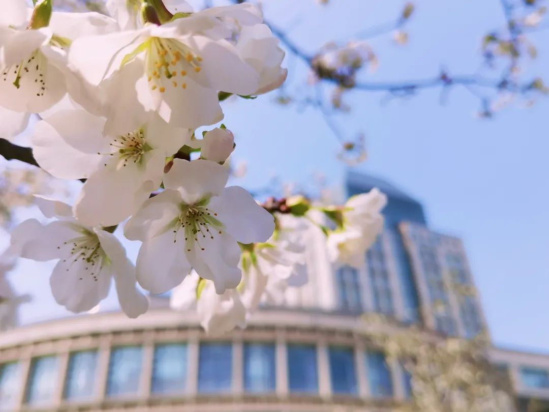 春暖花开日，正当读书时！一起来打卡吧！