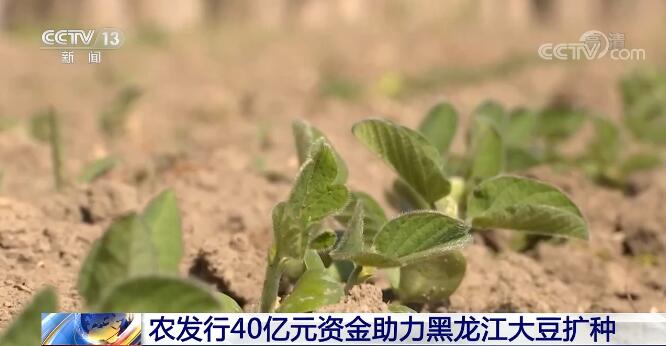 农发行提供40亿元支持黑龙江大豆全产业链发展