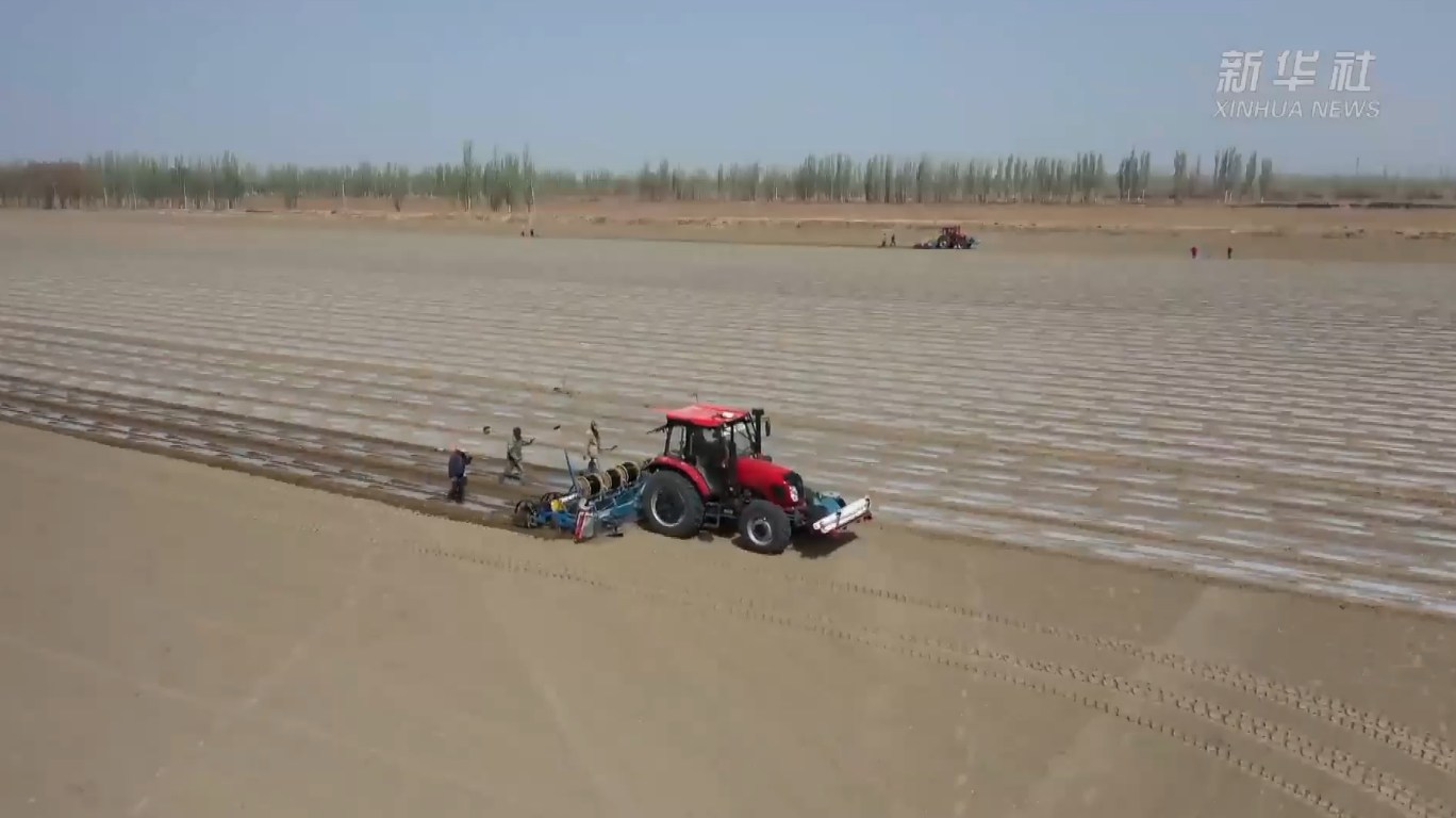 4月，中国最大产棉区——新疆棉花春播进入高峰期，种植收获各环节全部实现机械化。视频截图