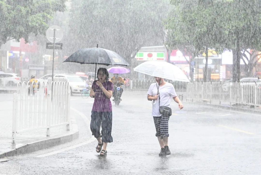 7月3日，台风“暹芭”来袭，广州市民在雨中出行（中新社 陈骥旻 摄 / 图|视觉中国）