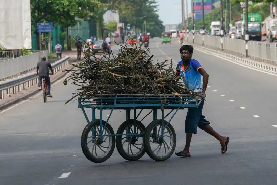 当地时间2022年7月6日，斯里兰卡首都科伦坡，小贩推着木柴出售。斯里兰卡严重的燃料危机，许多人已经习惯用柴火代替天然气。（图|视觉中国）