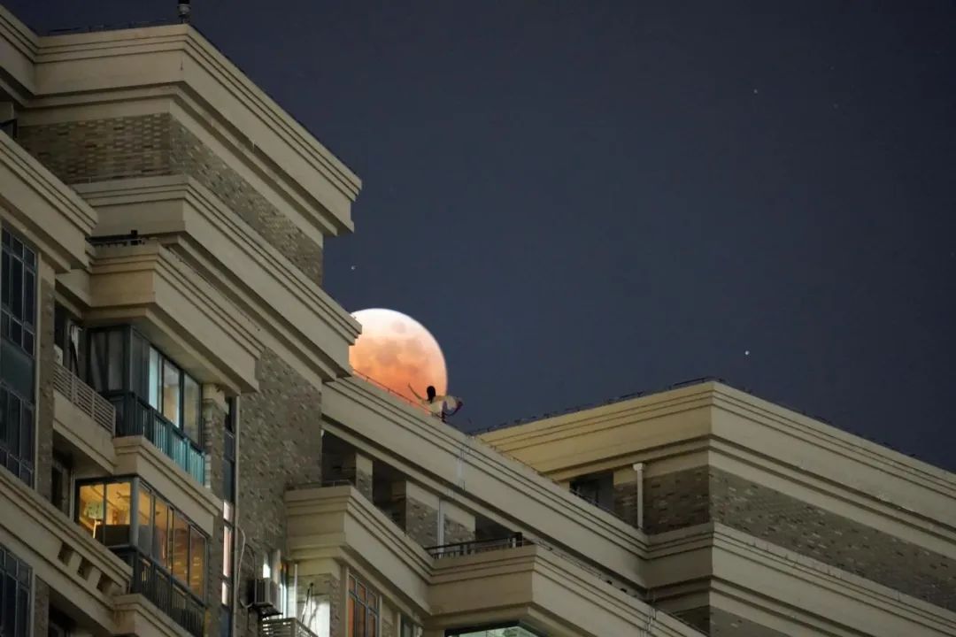 在上海浦东拍摄的月食景象。林伟欣 摄