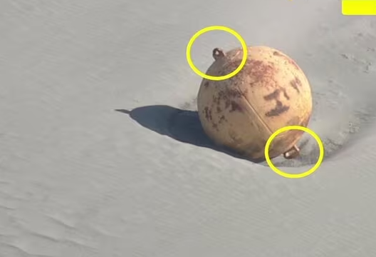 日本海滩现“神秘球” （日本富士新闻网）