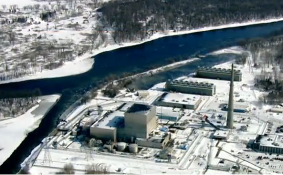 美国明尼苏达州核电站二次泄漏 附近水域数百条鱼死亡