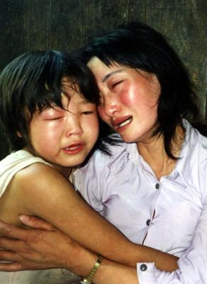 图文:陕西省石泉8岁小女孩被山蜂蛰死(1)